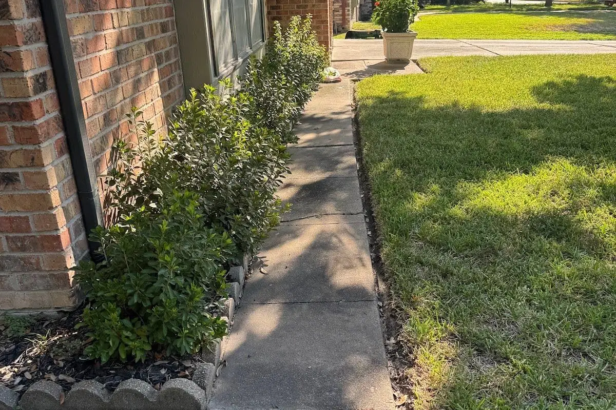 Walkway before pressure washing — Houston TX