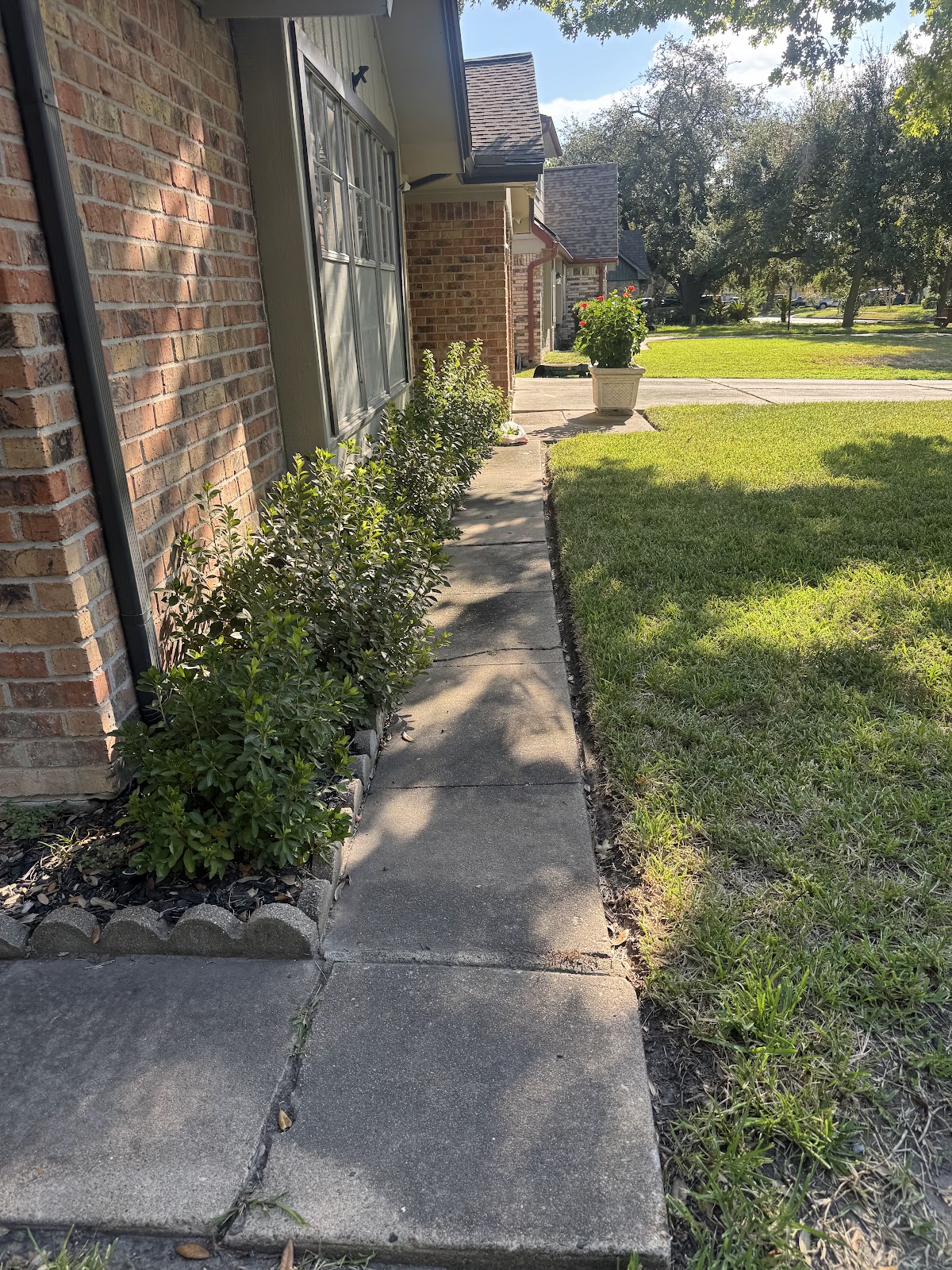 Walkway before pressure washing — Houston TX